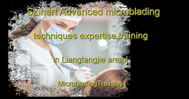 Skinart Advanced microblading techniques expertise training in Liangtangjie area | MicrobladingTraining | MicrobladingClasses | SkinartTraining-China